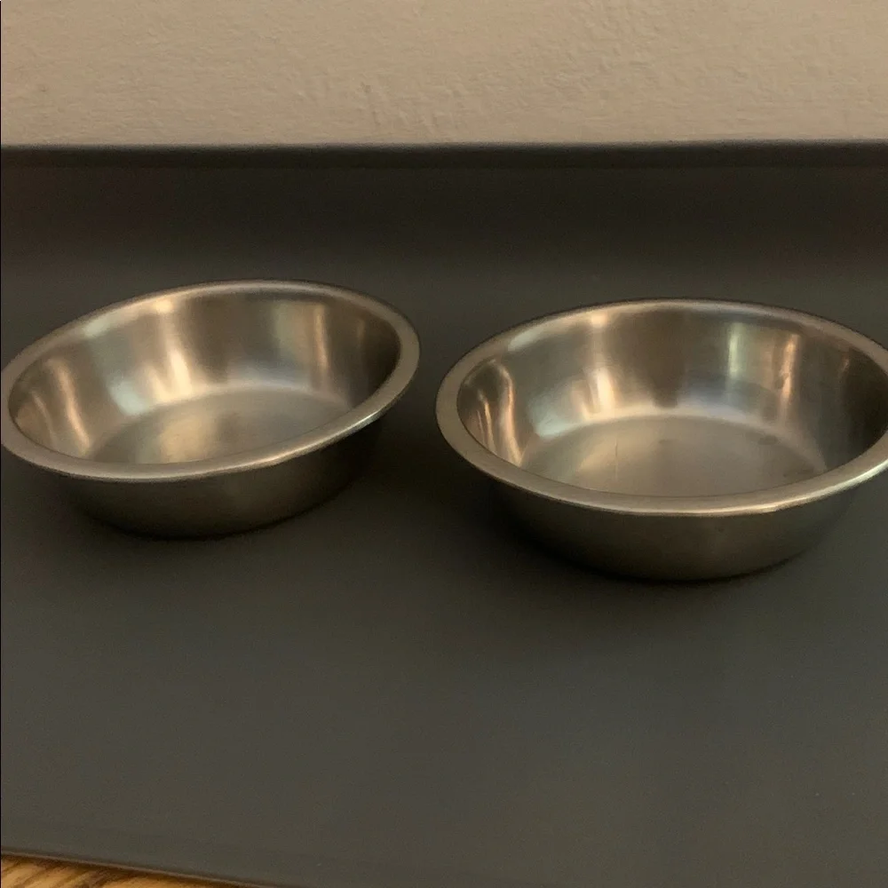 Stainless Steel Pet Bowls with Gray Mat
